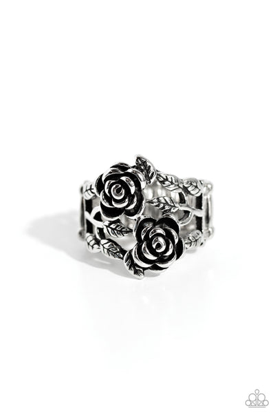 Anything ROSE - Silver - Ring